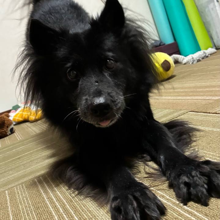 65aa4700 212f 4fb3 b8cc 89f627a68054 1758720991065