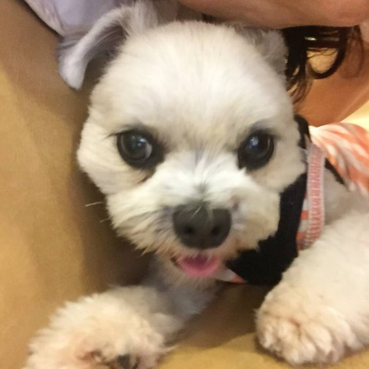 65aa6eb3 2cd2 49cd bee7 3fb9185f7211 1535021977051