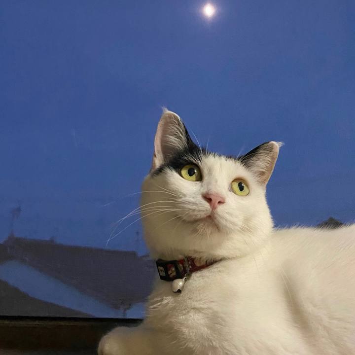 65aa81b2 8a73 4f7d 8096 eb1416054c9a 1689602584284