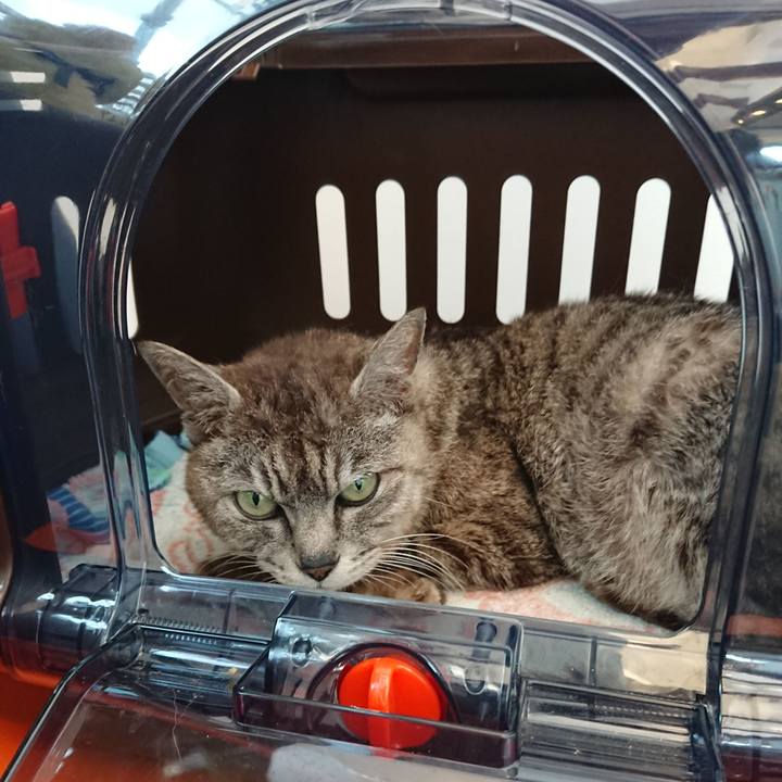 65aadcae e40a 49a7 9ba3 2c25387edf37 1596266997786