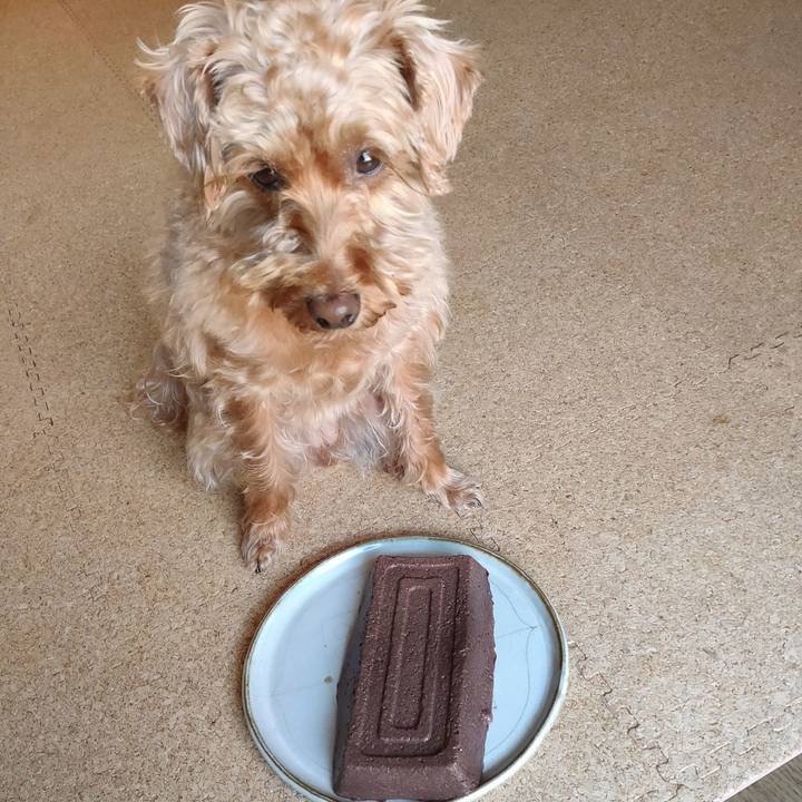 65ab05c2 fb2a 4028 ac6d 1aa86c8c56f8 1585868805652