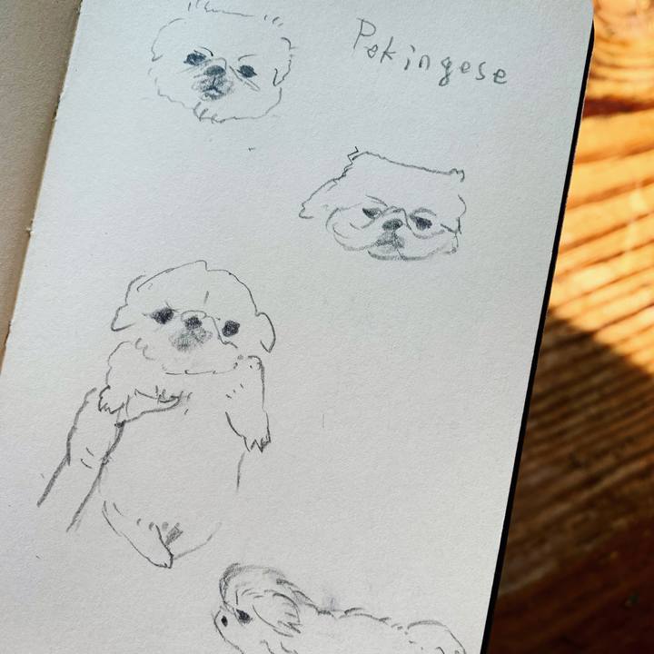 65ab28fb 790f 4167 bf0f 86770079df09 1648086809324