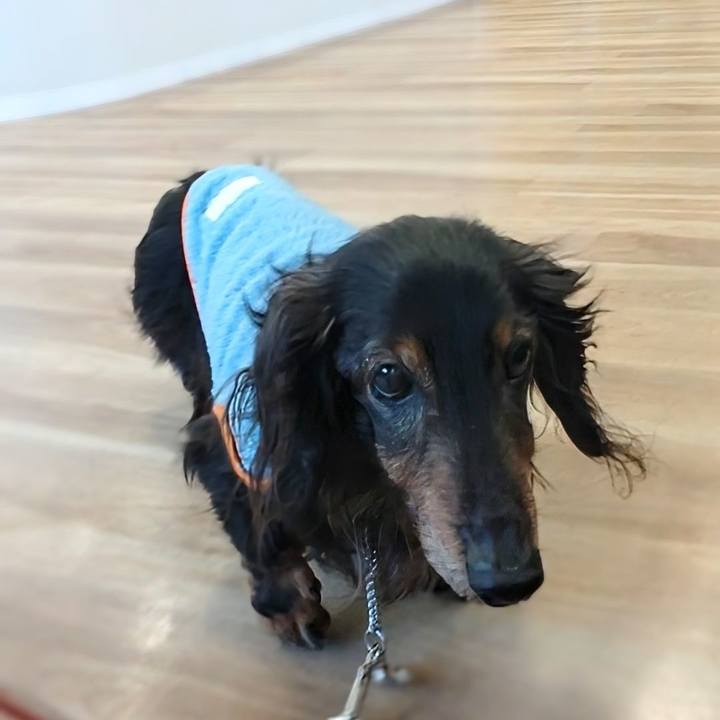 65ab6b5e 3af9 46d7 b2d5 e66f37093c42 1764138363025