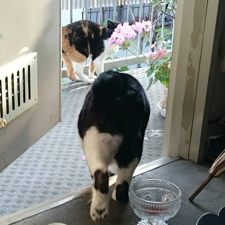 65ab8d1d b599 45ad 9c1f 39f644151ee6 1525219358533