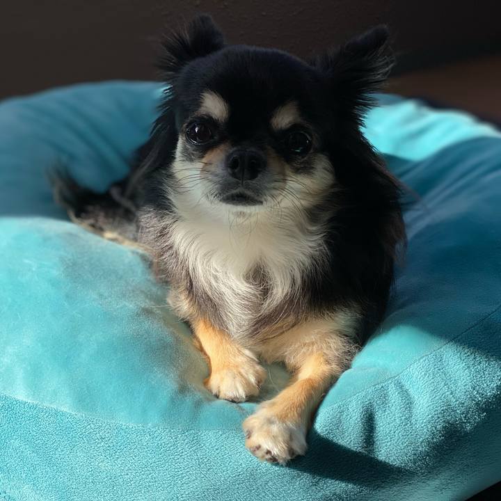 65abd731 b09b 4dab 9909 09b8d4c3a29f 1632789520009