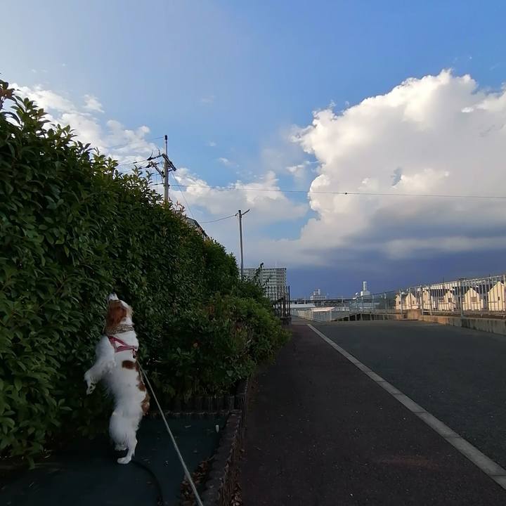 65abf1e0 6aeb 4f93 a5f8 6d57b8f7acaa 1597318908709