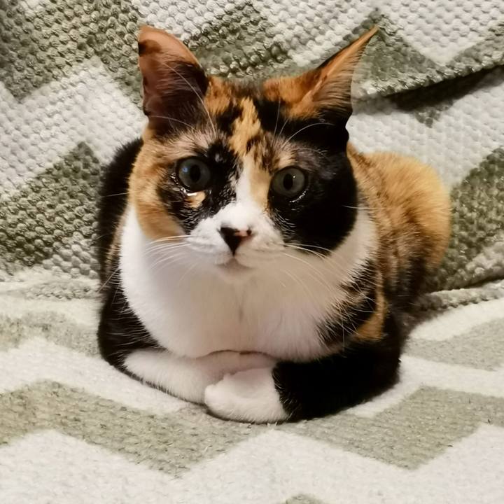 65abf860 b2ab 4b78 8897 31185cb3b07a 1679285919105