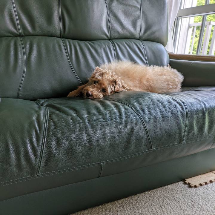 65ac2d69 c9d7 4f39 b94a aa35d18bf914 1718234195625