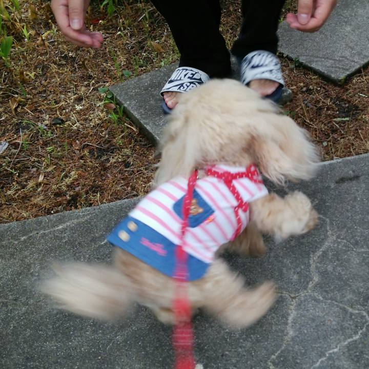 65ac3d38 b748 4f94 9924 182216e42a40 1558178091032