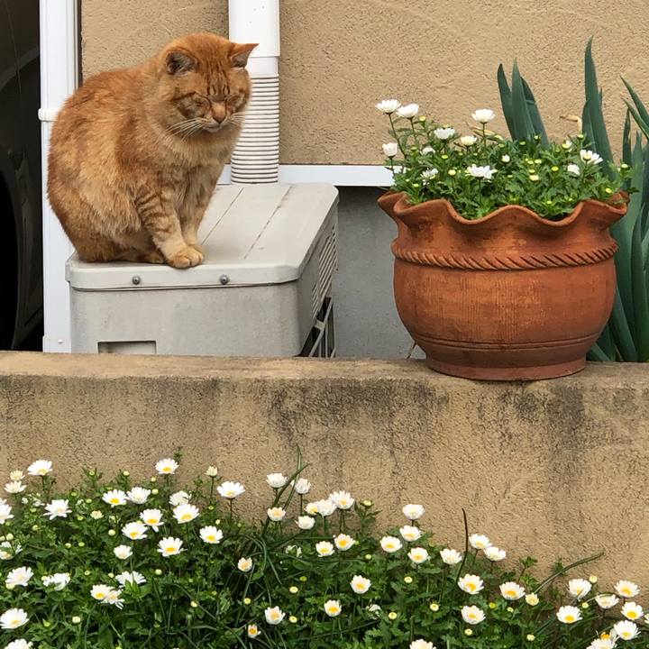 65ac601e ddf9 455f be11 b8f86ef2bb8c 1586048226400