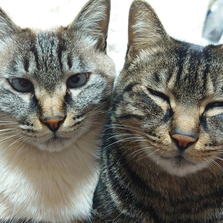 65acaa4a 467d 4635 b212 6ec69239bcdb 1644154229780