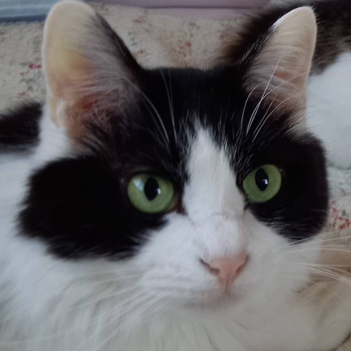 65ace2c4 6196 436f b6ca 6f265a6df4d9 1611998013889