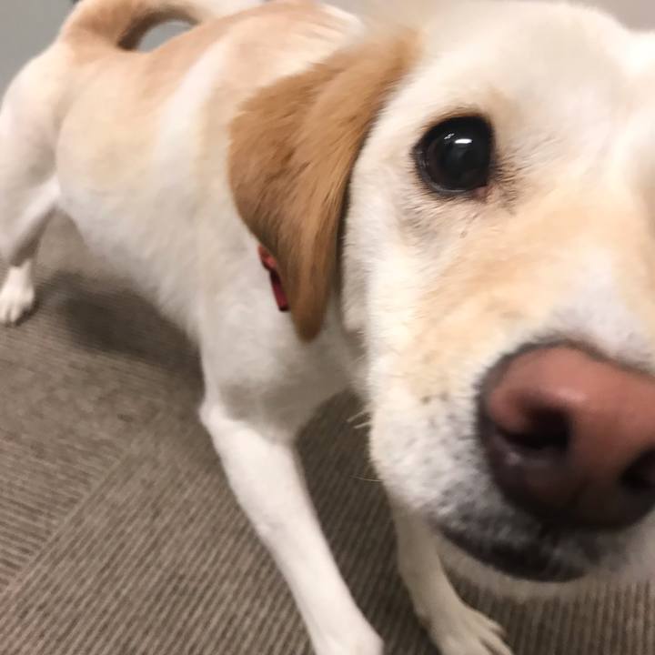 65ad1d98 0f41 442e 8ede 1e0874b3200d 1551491415997