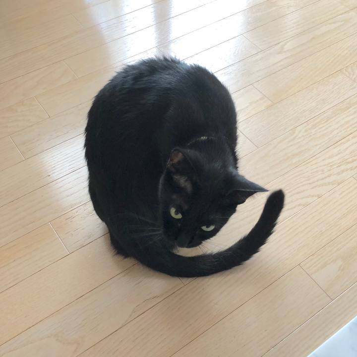 65ad1e49 c3b9 4b37 9178 fad618f45b96 1537679272650