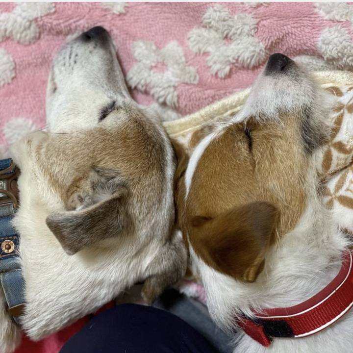 65ad3690 89b8 4326 bd4f c75ff4d2f830 1773576290178