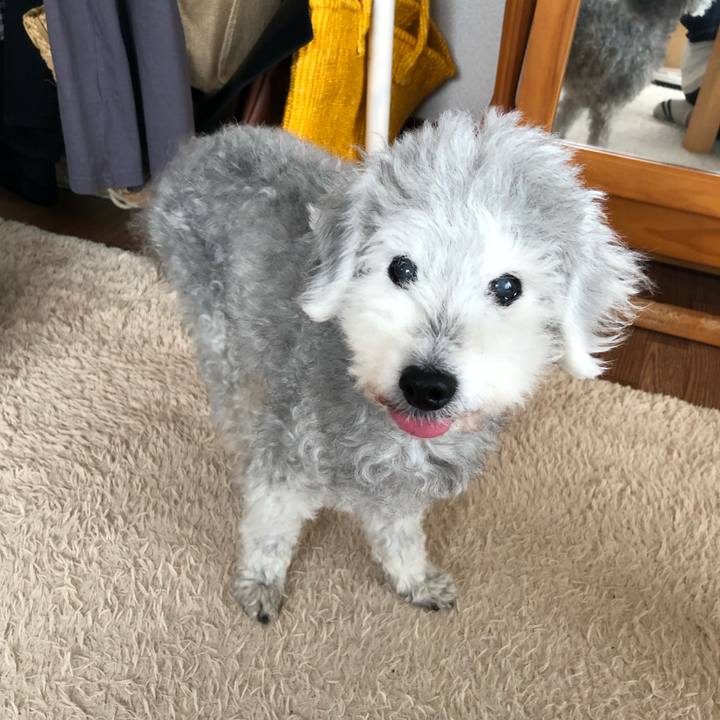 65ae147e 5871 48fa 9662 bce2fe280349 1655187697745