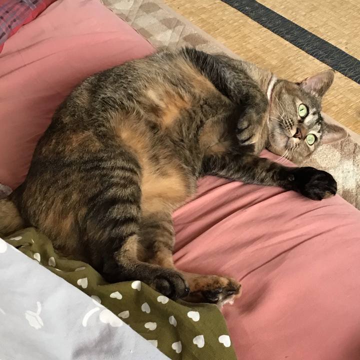 65ae1742 44c4 4e83 aa0d e7066e09a352 1674273731769