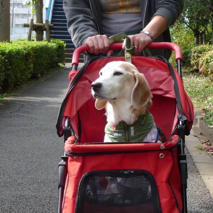 65ae402d 95b7 4185 bbce 3b349519bb5c 1705797181533