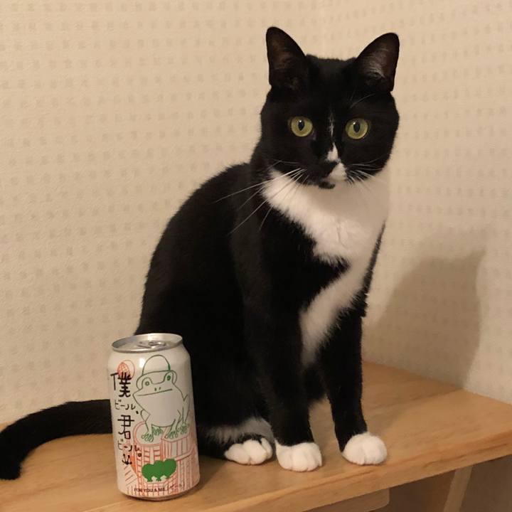 65ae6343 9168 4d8e 94b7 52563e6f7cb5 1527823369960