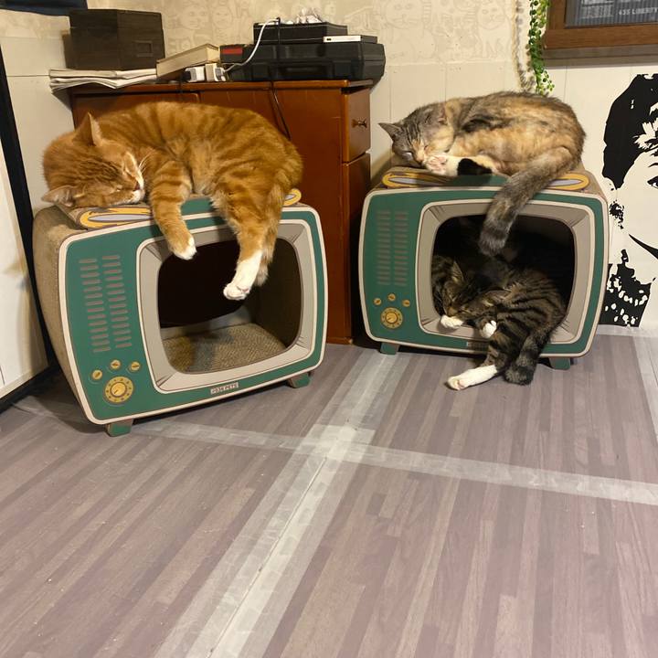 65ae66f1 8dbe 4d70 a86f 22a8f663d86d 1632222852380