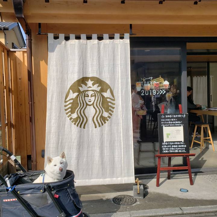 65ae677a 821e 49b7 8b31 3c00c5e3700a 1552572838628