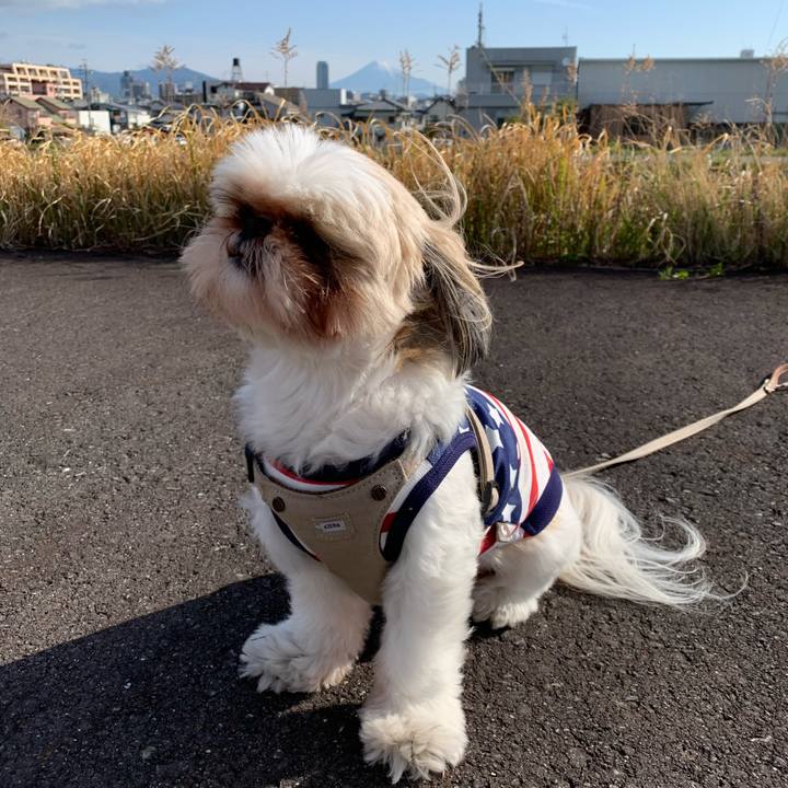 65ae6ffb af76 4565 983d f2c89b19d1c5 1617680915925