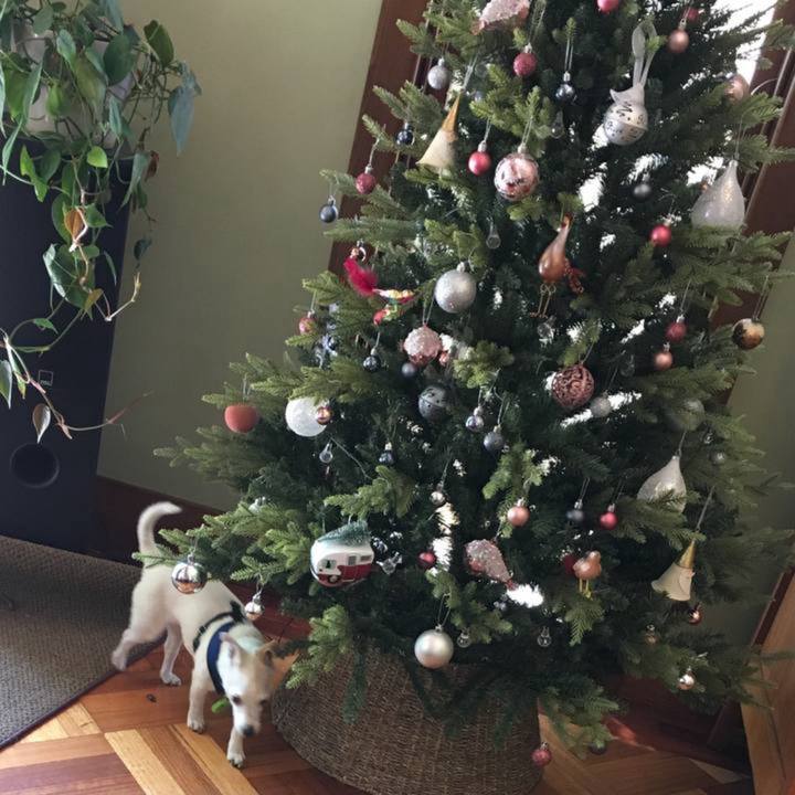 65aee923 7644 438c 9507 01dc44bba510 1766718790905