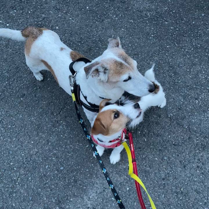 65aeed5d 0053 4d32 9f8a b4ec03b466a1 1616893533091