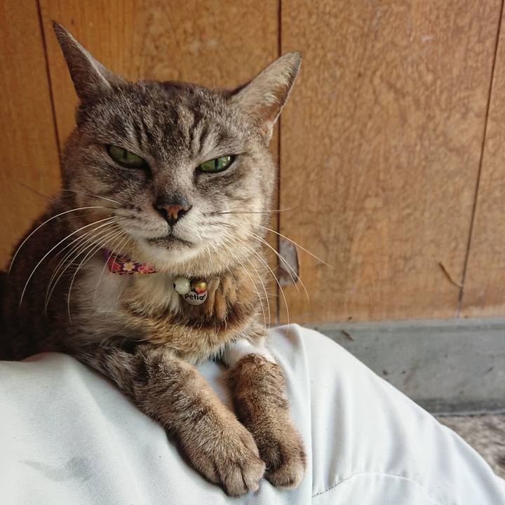 65af20b4 9c97 4ac0 b8da 6d1a397ce5f2 1595473644817