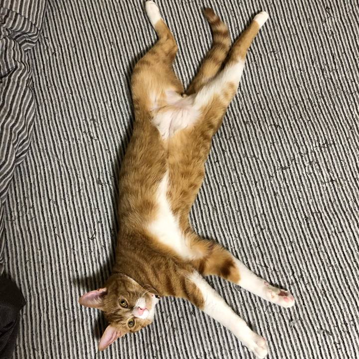 65af647f 7f48 43d0 b6ca 4b317a2765b2 1560781726911