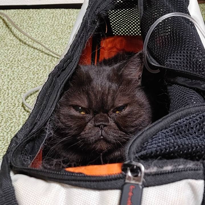 65af8467 45c1 405a 95ff 9bffac2ea4b8 1631021838553