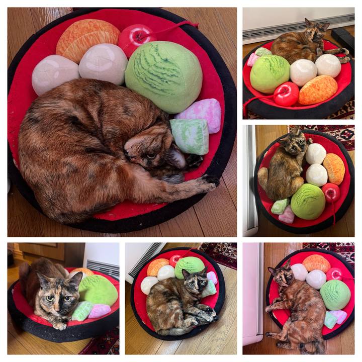 65afc5c2 5ce4 4c79 979e b6cab8d30f1d 1763900713372