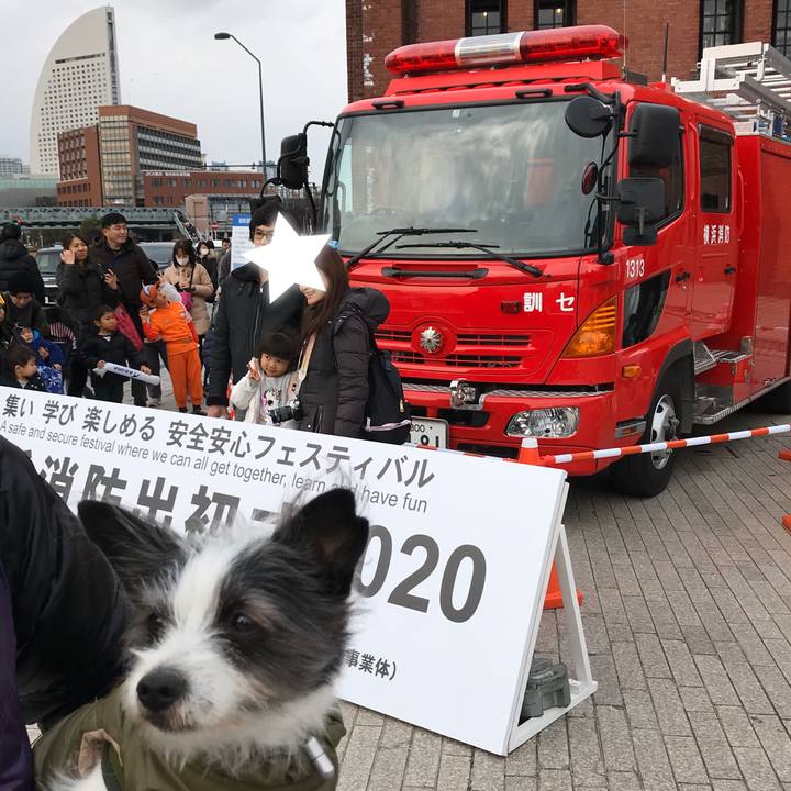 65afcf85 baf2 48e6 8628 f7aaaa27239f 1578807163127