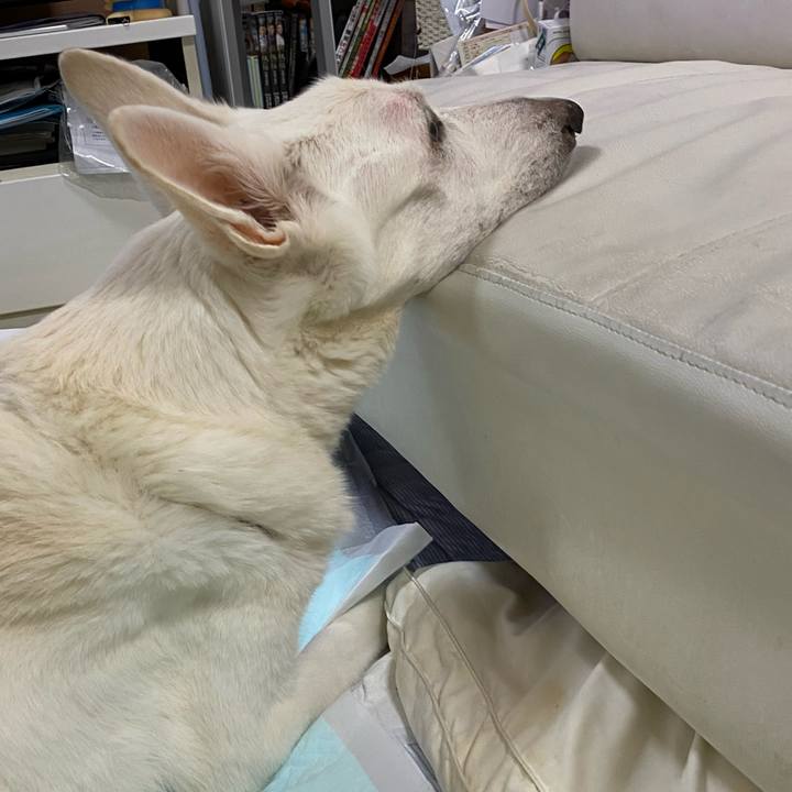 65b0152a a3d6 4270 85ac f0a9b51b074c 1604928872309