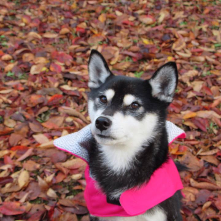 65b03bb9 c321 4b84 b874 3d45f7e68f61 1541030837270