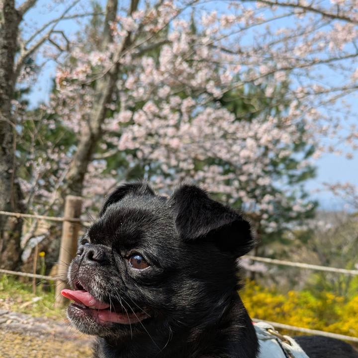 65b043cd 28b2 4ae5 bdbf 2e9d4da3285a 1774756318619