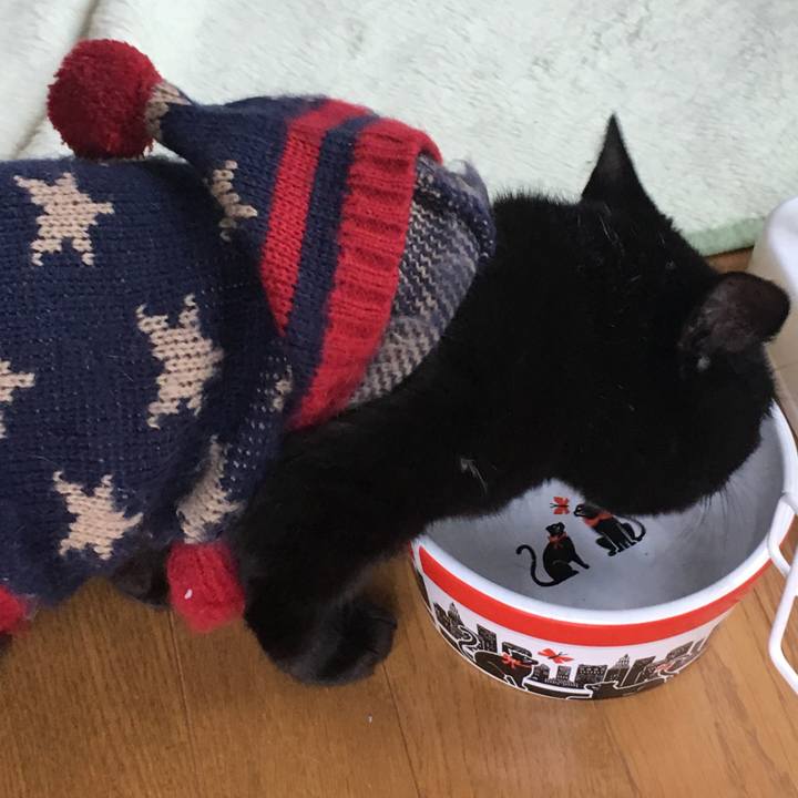 65b04aae 7e87 410c b6b2 a042e9377540 1542011244619