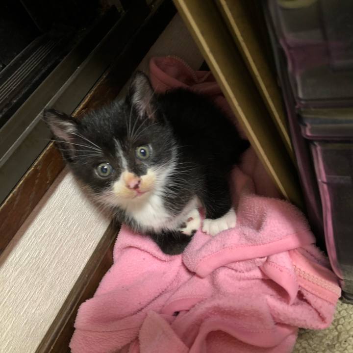 65b068cc e2f4 4c43 a352 b8fde345575d 1537024473395