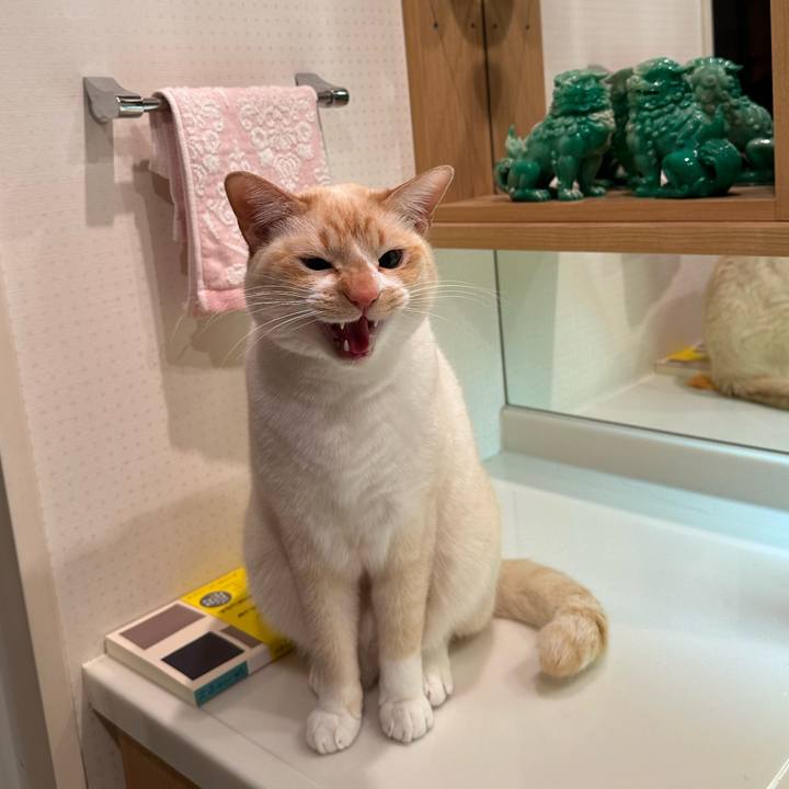 65b069ef de3c 450b bce5 53cfc6c46cb6 1771507537922