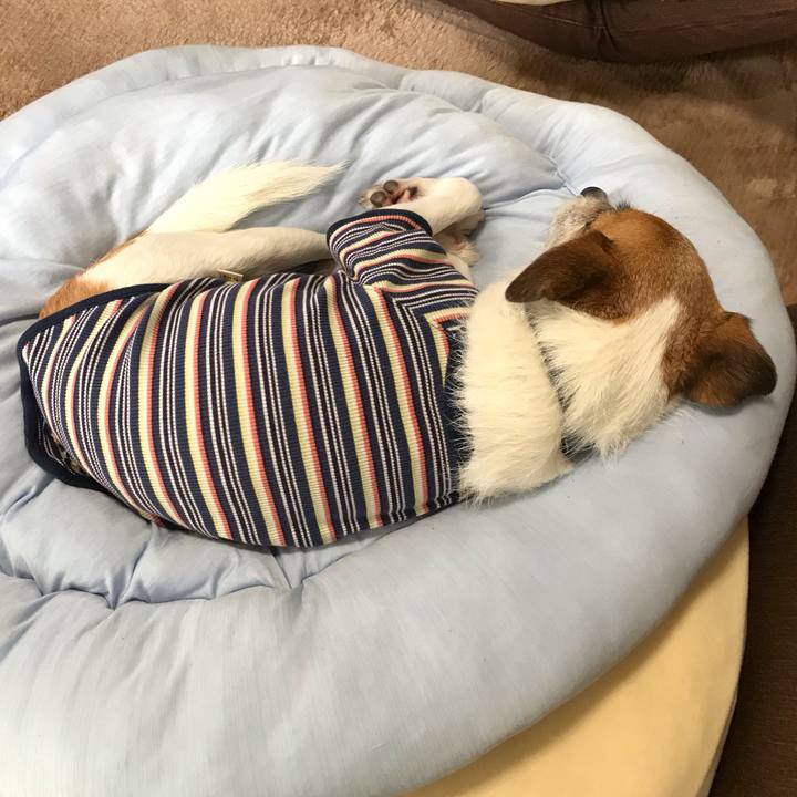 65b092b8 c328 49fd b242 cea221dbcfee 1560573010185