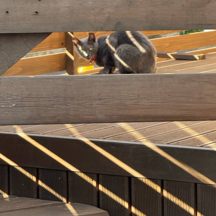 65b0b40e f40b 42f0 9186 5419b105d00e 1762482491560