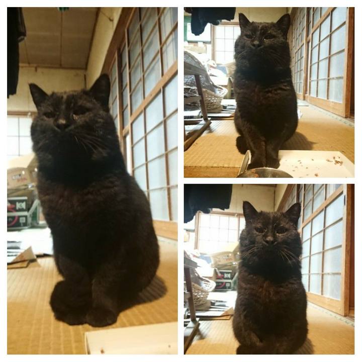 65b0e03f 7dcf 4d1a 8af9 e5cd1112488a 1617380531708