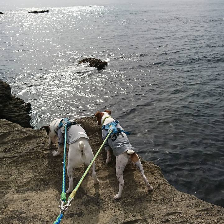 65b127d3 28c8 448c 838d 1ec19f59fba8 1603857635688