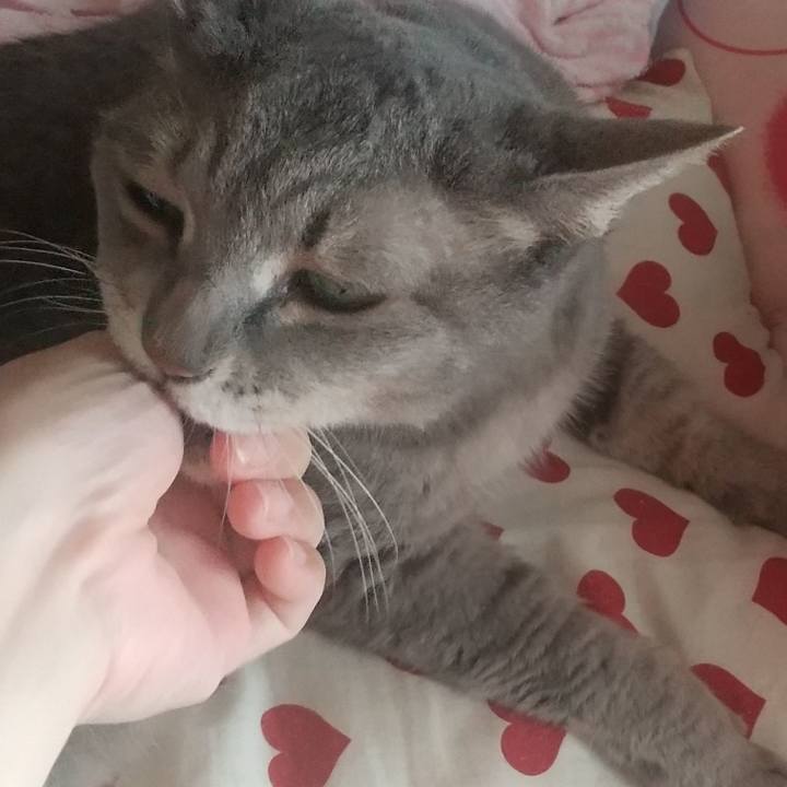 65b12aa7 e2a3 4a5e a66e b4bbe7a1cb32 1658885178972