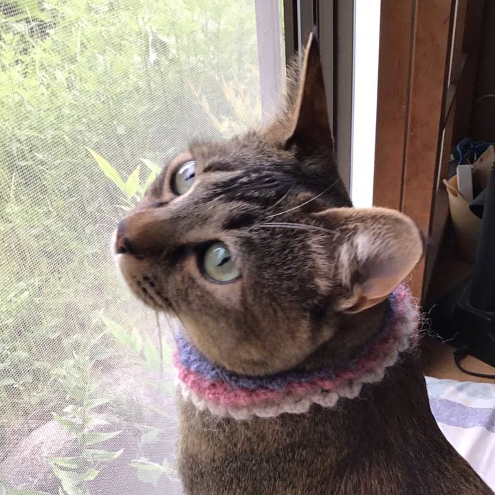 65b140c1 4414 4f2b 84a4 716dfb837945 1620628453919