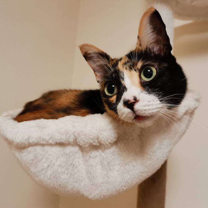 65b150c3 d84a 41c0 91f5 2667f2915cc2 1671609050939