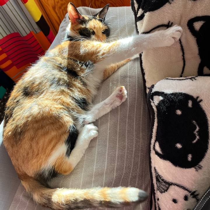 65b15598 6d03 441e a392 09a2a1093aad 1673481643606