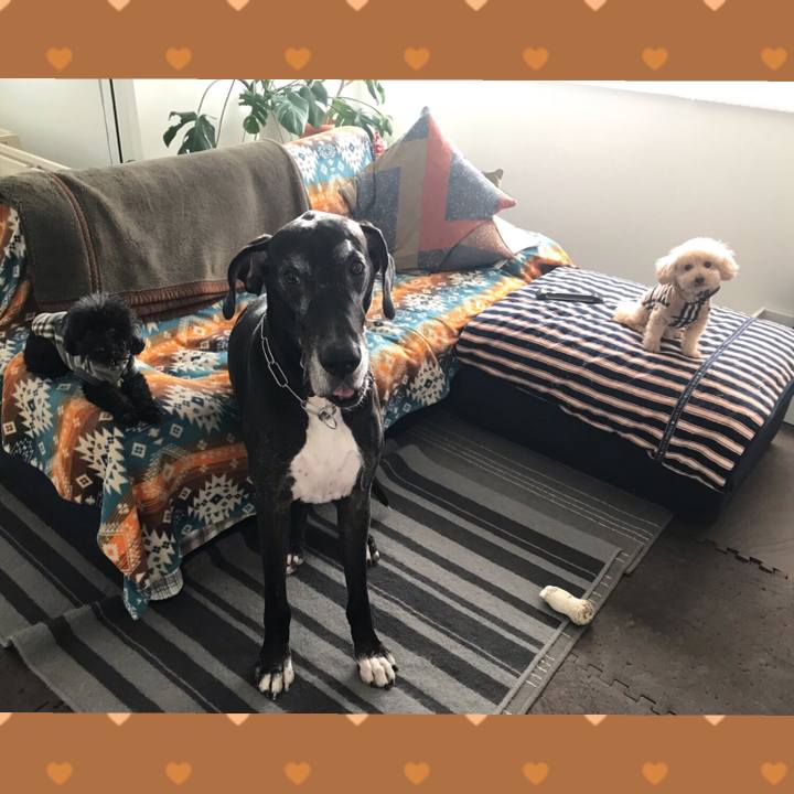 65b16e51 6e04 44d0 a4c8 54f78859461b 1542320712371