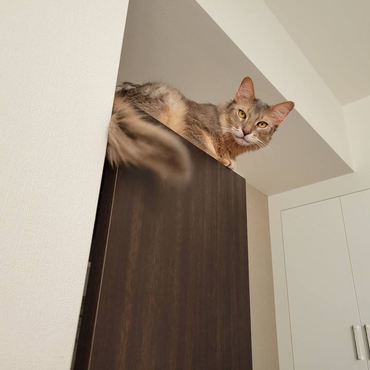 65b17d4a 932c 49be b60f 2535bf75db71 1636678427601