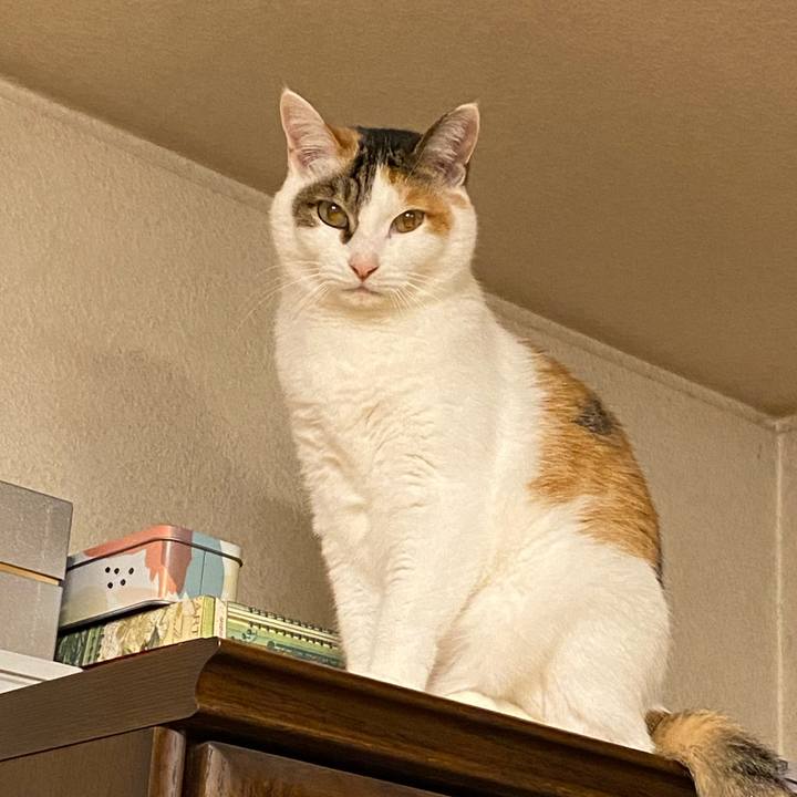 65b19bfd 1599 4e31 ba49 6f5a3abc1761 1767183522485